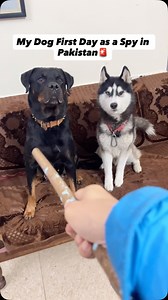 Long vid link in bio 🚨 . . . . @rahul__sharma1993 | Review Reloaded