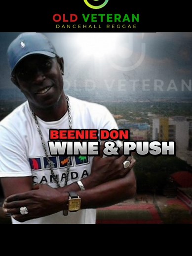 Reggae Clásicos del Año 1989 | WINE & PUSH RIDDIM MIX