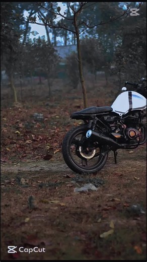 Walton bike modify by ZM customize #trending #highlight #foryou #modifybike