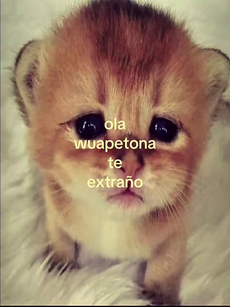#parati #fyp #extrañoamiex | i miss you