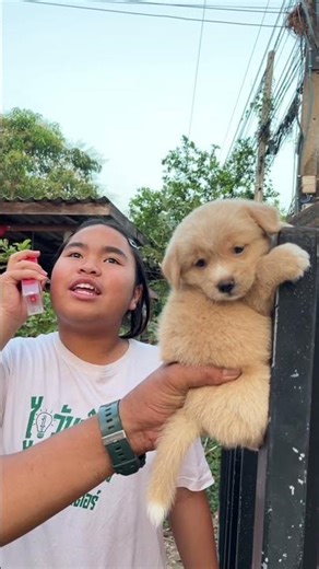 #yimjafamily #funny #comedy #dog The culprit has been caught!