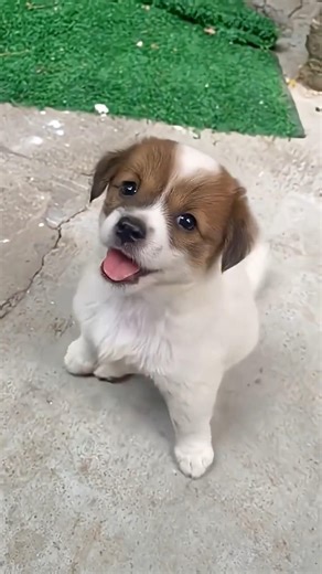 New Cool Tool!🥰 New Viral Gadgets, Smart Kichen Appliances, Tolls, Utensils, HomeCleaning #shorts