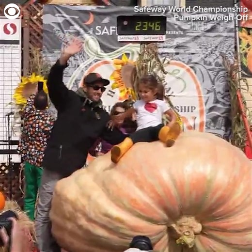 OH GOURD-NESS: A pumpkin weighing 2,346 pounds took the top prize at the 52nd Annual Safeway World Championship Pumpkin Weigh-off in Half Moon Bay, California, on Monday (10/13). Brandon Dawson of Santa Rosa, California, grew the giant gourd and took home a prize of $9 per pound, totaling a whopping $21,114. | CBS Newspath