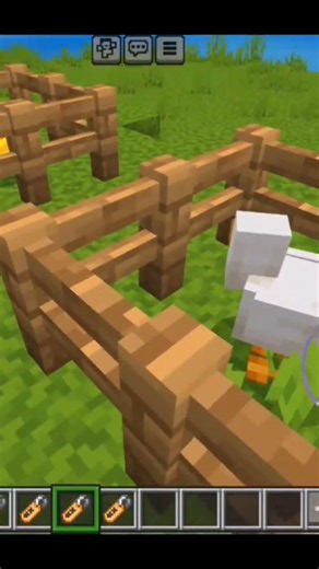 Secret Chicken Nametags #minecraft