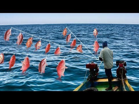 RED SNAPPER FISH CATCHING AT DEEP SEA