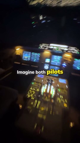 What happens if AI takes control in the cockpit