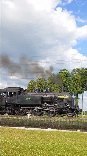東武博物館35周年特別装飾！SL大樹 #railway #東武 #steamlocomotive