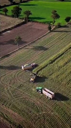 Découvrez la puissance de l'ensileuse FR780 en conditions réelles ! #matériel