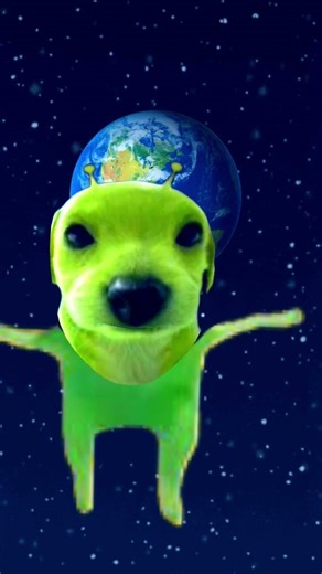 alien dog #funny #dog