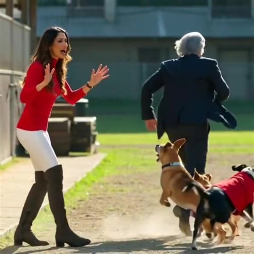 OMG Jamie Jenkins Love this. NO TO DIGITAL ID | Leilani Dowding