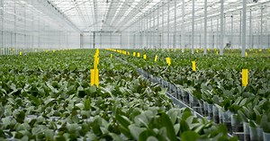 From gold investors to an Arctic greenhouse: How HIVE is forging new paths for crypto mining