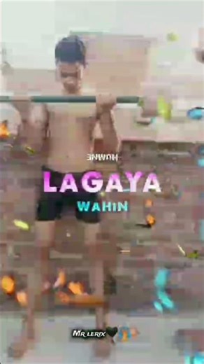 daily gym workout # gym