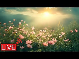 Musique Relaxante pour la Détente | Sons de la Nature pour Éliminer le Stress