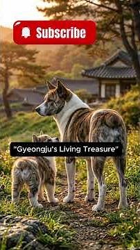 Rare Bobtail Dog: Why Korea’s Donggyeongi Almost Went Extinct