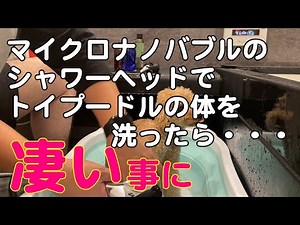 マイクロナノバブルって凄い