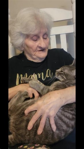 Grandma's Boy (@grandmasboyofficial)’s videos with original sound - Grandma's Boy