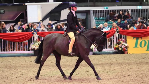 STARS Champion of Champions