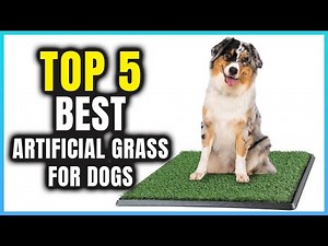Top 5 Best Artificial Grass for Dogs | Extreme Reviewer