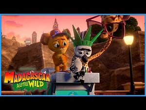 Marty's First Mission🦓 | DreamWorks Madagascar