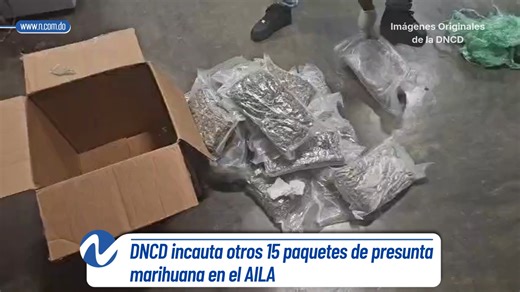 N Digital on Instagram: "Un total de 15 paquetes presumiblemente marihuana fueron decomisados por agentes de la Dirección Nacional de Control de Drogas (DNCD), en conjunto con el Ministerio Público y miembros del Cuerpo Especializado de Seguridad Aeroportuaria (CESAC), durante labores de inspección conjunta, realizadas en el Aeropuerto Internacional de Las Américas (AILA-JFPG), municipio de Boca Chica, provincia de Santo Domingo. Los agentes y militares, desarrollaban un operativo en una de las 
