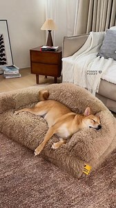Our plush orthopedic bed keeps your dog warm, comfy, and totally spoiled . Easy to clean, hard to leave! | FUNNYFUZZY | Facebook