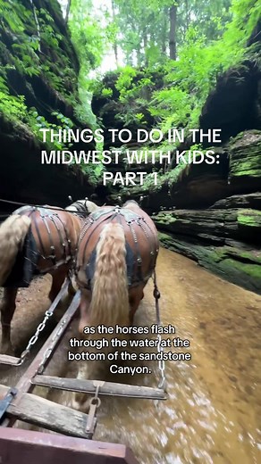Things To Do in the Midwest With Kids Part 1 Lost Canyon Wagon Tours in Wisconsin Dells, WI This is one of our new favorite activities in Wisconsin Dells! 🌲🐴 The Lost Canyon Tour takes you on a horse-drawn carriage ride through the longest and deepest land canyon in Wisconsin. It’s such a unique way to experience the natural beauty of the Dells! ✨ Here’s what to expect on your 30-minute tour: 🐎 A team of horses pulls the open-air carriage along narrow, winding trails 🎤 A knowledgeable guide 