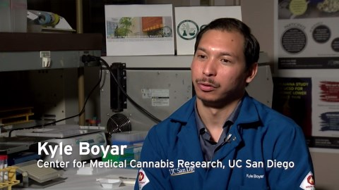 How is Delta-8 legal cannabis?