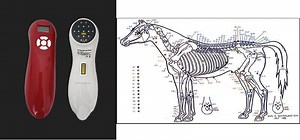 How to use the Handheld Cold Laser LLLT