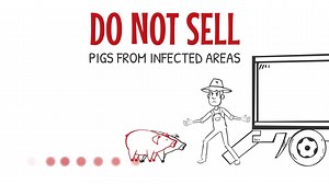 Thinking of Selling Your Pigs? 🐖 Whether you’re downsizing, making space, or cashing in on your hard work, selling pigs can be a great way to generate income. Make sure they’re healthy, well-fed, and marketed to the right buyers for the best price. | Zach