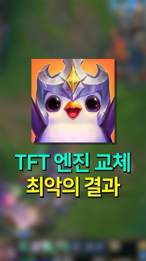 나락간 롤체 18시즌 근황