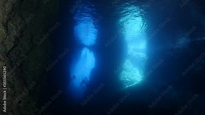 alien, animal, aquarium, arm, background, black, close, close-up, closeup, color, colorful, fish, food, fresh, giant, health, image, isolated, life, live, macro, marine, monster, natural, nature, ocea