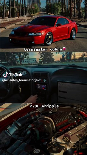 Understanding the Terminator Cobra and Whipple Supercharger