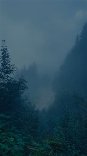 Cyprien Adventures on Instagram: "Lost. #nature #fog #road"