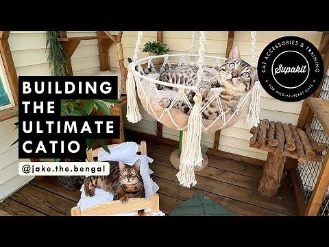 Building A Dream DIY Catio - Supakit Community Experts