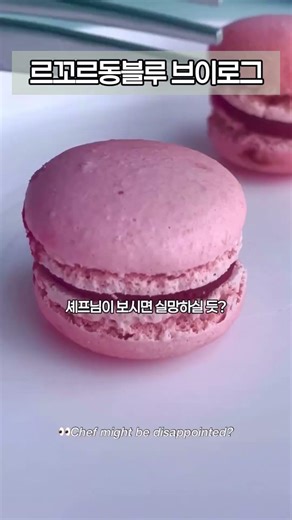 르꼬르동블루 유학 브이로그👩‍🍳비건 베이킹🍫 비건 제과. | Le Cordon Bleu Plant-Based Pastry #르꼬르동블루 #말레이시아유학