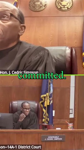 What is a Preliminary Exam? (Court 101) 👨‍⚖️