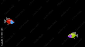 Two fish swim towards each other. Looped video. Video in extended 4k with a transparent background.