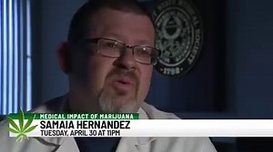 10K views · 59 reactions | All next week, News 8 is covering daily stories about pending marijuana legislation in the state. Join us starting on Monday at 11pm. | WTNH News 8 | Facebook