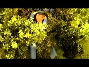 Busy Going Backwards In Widescreen