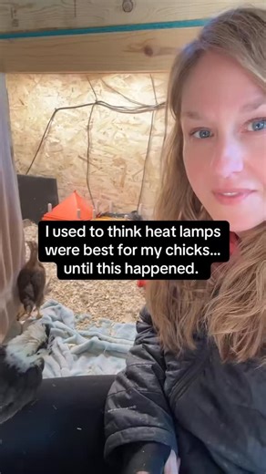 Why heat lamps can actually harm your baby chicks 🐣 I used heat lamps in the beginning, and thought I was doing the right thing, until I realized they were causing more harm than good. Overheating, pasty butt, and poor temperature regulation are all risks that mama hens don’t deal with. Learn safer, more natural ways to keep your chicks warm and thriving during brooder season. #chickens #babychicks #raisingchickens #farmlife #homestead #crazychickenlady #chickensofinstagram #heatlamp | Beth/Cit