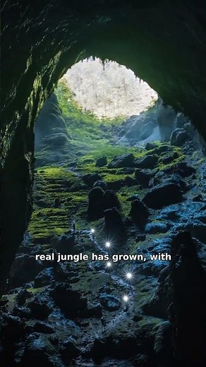 This Cave Is So Big It Has Its Own Weather and Jungle