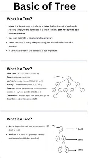 What is a tree?