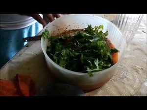 Traditional Mayan Dinner: Sikil Pak made from Pepita Seeds