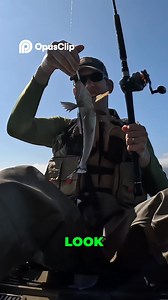 Tiny Salmon & Kelp Greenling: Tiny Fish Feast! | Outdoor life