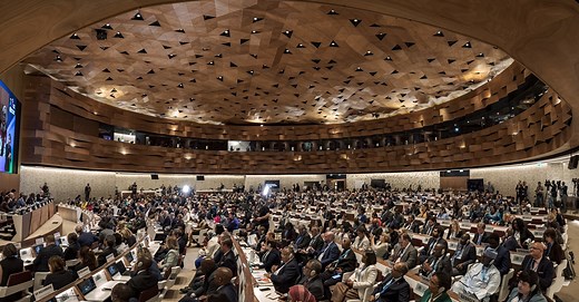Health and climate change at the 77th World Health Assembly