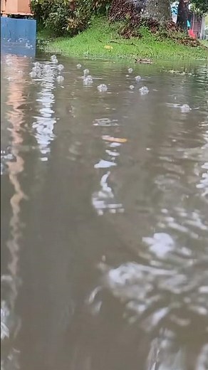 Satisfying Rain Bubbles ASMR 🌧️🧼 #shorts #rain