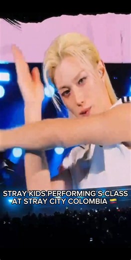 skz performing s-class at stray city colombia!! #straykids #sclass #bogotácolombia #straycity #fypシ