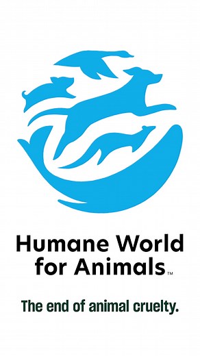 Animals don’t deserve to be used in experiments. It’s time to take suffering out of science. #EndAnimalTesting | Humane World for Animals | Facebook