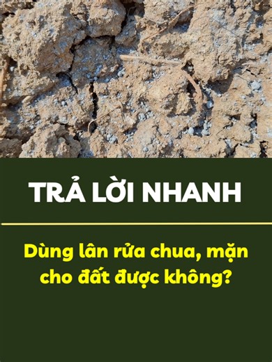 Dùng Lân hạ phèn, khử mặn cho đất được không? #anphatnong #apnhoamau #haphen #pHthap #nangpH #datman #kythuatnongnghiep #xuhuongtiktok #videoviral