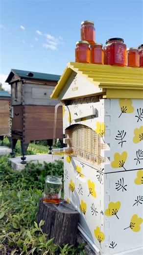 Your garden needs a Flow Hive. 🐝💛